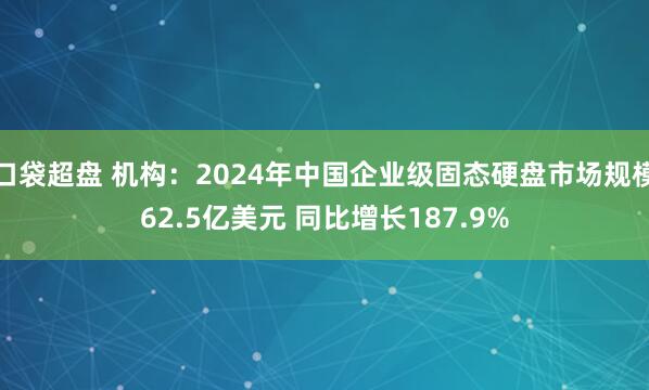 口袋超盘 机构：2024年中国企业级固态硬盘市场规模62.5亿美元 同比增长187.9%