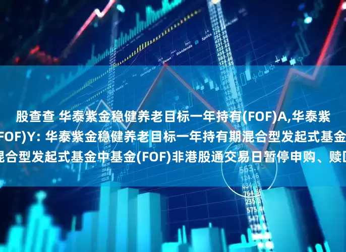 股查查 华泰紫金稳健养老目标一年持有(FOF)A,华泰紫金稳健养老目标一年持有(FOF)Y: 华泰紫金稳健养老目标一年持有期混合型发起式基金中基金(FOF)非港股通交易日暂停申购、赎回等业务的公告