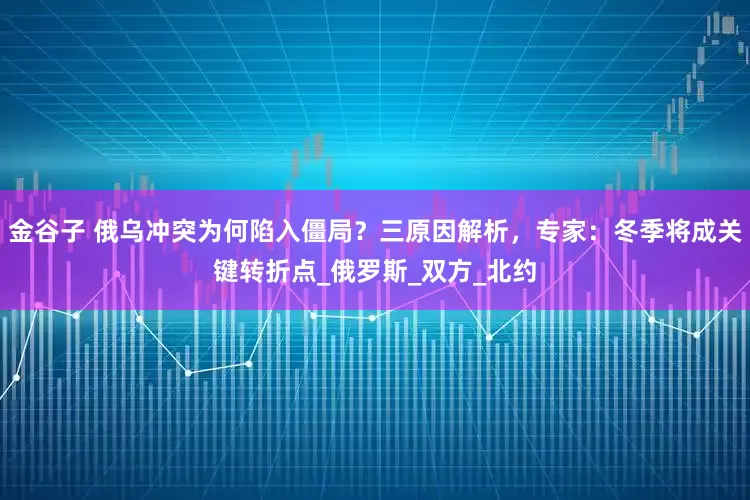 金谷子 俄乌冲突为何陷入僵局？三原因解析，专家：冬季将成关键转折点_俄罗斯_双方_北约