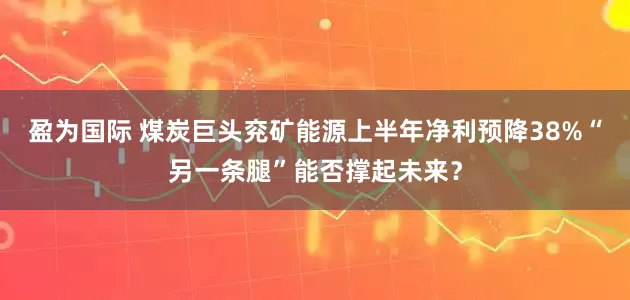 盈为国际 煤炭巨头兖矿能源上半年净利预降38%“另一条腿”能否撑起未来？